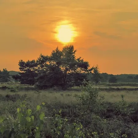Tiny Damhert Veluwe Nature Escape Lodge *