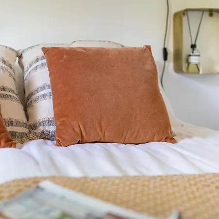 Tiny Damhert Veluwe Nature Escape