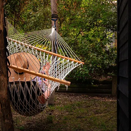 Tiny Damhert Veluwe Nature Escape * Nunspeet