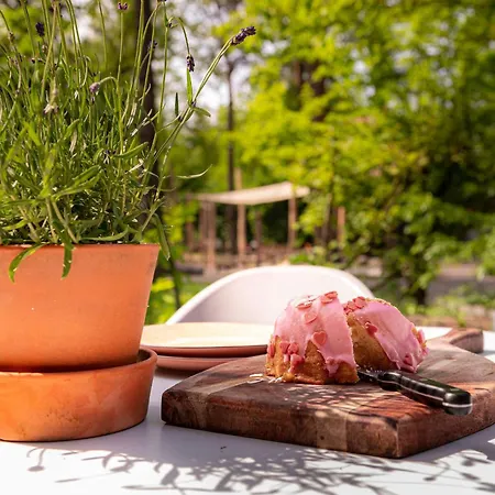 Tiny Damhert Veluwe Nature Escape Lodge *