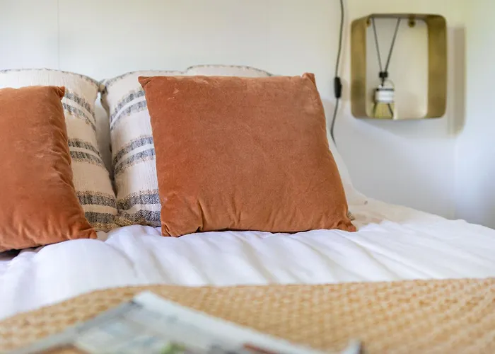 Tiny Damhert Veluwe Nature Escape