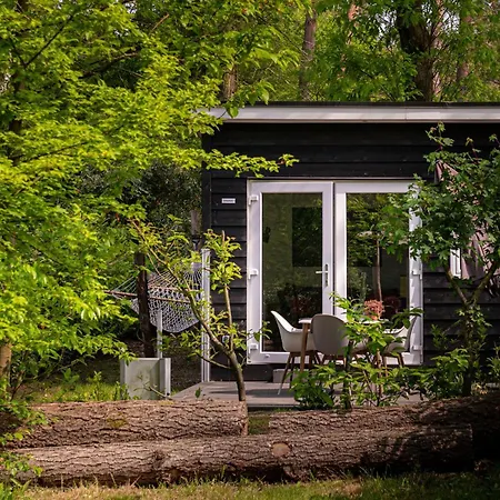 Tiny Damhert Veluwe Nature Escape Lodge Nunspeet