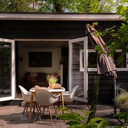 Tiny Damhert Veluwe Nature Escape *