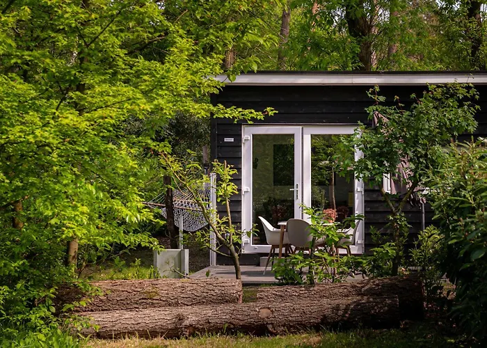Tiny Damhert Veluwe Nature Escape Lodge Nunspeet