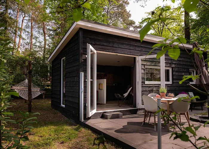 Lodge Tiny Damhert Veluwe Nature Escape Nunspeet